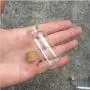 Mini Klare Glasflaschen mit Korkstopfen – 50 Stück für Kleine Wunscherfüllungen, Hochzeit Deko S020B – von HUDITOOLS