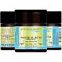 PURE EMU OIL- BUTTER. 100% Natural - RAW - VIRGIN - UNREFINED.for FACE, BODY, HANDS, FEET, NAILS & HAIR and LIP CARE. (8 Fl. oz. - 240 ml.)