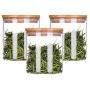 Sealed Glass Jars Transparent Cans With Lid Home Kitchen Storage Container Food And Grocery Receipt Organizer Spaghetti Bottles,Style 1