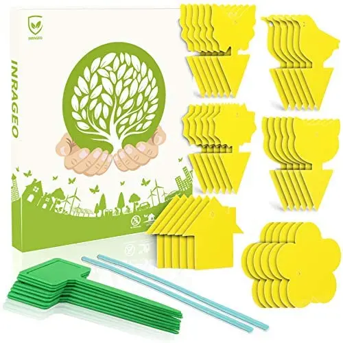 36 Pack Fruit Fly Trap Yellow Sticky Fungus Gnat Killer for Indoor and Outdoor Plant Insect Catcher for White Flies Mosquitos Fungus Gnats Flying Insects Houseplant Gift for Flower Lover (H48 36+12)