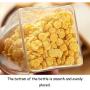 WANGLXST Food Storage Container, Sealed Bottle Storage Jar, Dried Fruit Bottle Good Sealing Heat-Resistant Borosilicate Glass Sealed Cans, Transparent