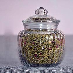 Round Glass Pot Lids, Transparent Storage Containers Small Retro Sealed jar-A 650mlx3