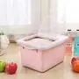 Daycount Lebensmittel Lagerkorb mit Deckel, Verdickter Kunststoffbehälter für Konserven, Reis, Trockenfrüchte, Snacks und Nüsse, Große Kapazität 10kg/22 Pfund (Pink)