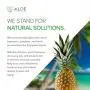 Aloe Infusion Körper- und Gesichtsfeuchtigkeitscreme – Natürliche Creme für Ekzeme bei Juckreiz und Trockenheit, Sensible Haut, Akne und Psoriasis – Bio Aloe Vera, Sheabutter, Coenzym Q10, Traubenkernöl, Kokosnussöl