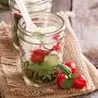 16OZ Mason Jar, Hanamichi Ball Mason Jar Quilted Jelly Jars mit Deckeln, Für Einmachen – Gefrieren – Konservieren – Getränke & Glasdekoration – Mikrowellengeeignet & Geschirrspülergeeignet