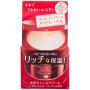 Aqua Label Special Gel Cream A (Moist) 90g 2 piece set Shiseido