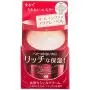 Shiseido Aqua Label Special Gel Cream A (Feuchtigkeitsspendend) 90g 2er Set