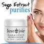 Sage and Citrus Moisturizer 2 oz Natural Face Cream Oil Free Skin Types Normal, Oily, Combination, Acne Prone Anti-Wrinkle Tighten Lift Sage and Citrus Moisturizer 2 oz Natural Face Cream Oil Free Skin Types Normal, Oily, Combination, Acne Prone Anti-Wrinkle Tighten Lift