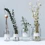Minimalist Chic Glass Storage Jars Scandinavian Vogue Elegance Transparent Desk Storage Bottle Organizer Flower Container Decor Large Glass Storage Containers With Lids