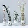 Minimalist Chic Glass Storage Jars Scandinavian Vogue Elegance Transparent Desk Storage Bottle Organizer Flower Container Decor Large Glass Storage Containers With Lids
