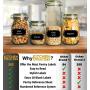 252 Preprinted 3” X 1.5” Chalkboard Pantry Labels Set w/Extra Write-on Stickers for Jars, Bottles, Containers & Canisters - Include an Exclusive Numbered Reference sheet - Waterproof & Tear-Resistant