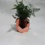 Nordic Chic Roségold Keramik Aufbewahrungsgläser Tank Minimalist Platinierte Stil Sonntüten Organizer Blumenvase Schreibtisch Aufbewahrungsdose für Zuhause | von HUDITOOLS | 1 Stück