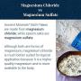 Ancient Minerals Magnesium Bath Flakes of Pure Genuine Zechstein Chloride - Resealable Magnesium Supplement Bag That Will Outperform Leading Epsom Salts (4.4 lb)