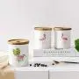 OnePine Food Storage Jar with Sealed Bamboo Lid, Flamingo Pattern Ceramic Kitchen Canisters for Tea Sugar Coffee Spice Seasoning and More (B)