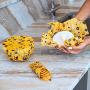 Organic Beeswax Food Wrap by BeeHealthy Lab, Set of 3 Reusable Storage Wraps, Alternative Covers for Sandwich, Cheese, Avocado, Bread and Bowls, Zero Plastic, Biodegradable, Sustainable Bees Cloth