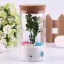 CloverUS 350ml Clear Glass Bottle with Sealed Cork Beans Tea Leaves Storage Container