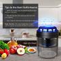 Fly Trap FLASHVIN Mosquito Trap Fruit Fly Trap Indoor Bug Zapper Mosquito Killer with UV Trap Automatic Intelligent Light Induction with Sticky Glue Boards for Home Kitchen No Zapper