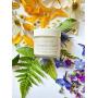 MIRACLE MOISTURIZER CREAM by Skincando 2 0z – All Natural - Organic - Intensive Moisturizer – Contains Organic Apricot Kernel Oil –- Grapefruit Seed Extract – Lavender Essential Oil – Spearmint Oil