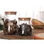 Glasbehälter Cupwind mit Dichtung und Holz/Bambusdeckel – Klare Glasbehälter für Tee, Kaffee, Gewürze (Z-970ml)