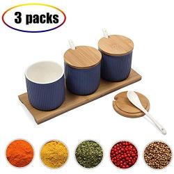 TNKML Ceramic Food Storage Spice Container Jar Spice Nut Jar Spice Jar Sugar Jar Salt Shaker Spice Container Blue