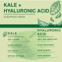 Kale and Hyaluronic Acid Gel Face Mask - Hydrating Face and Neck Moisturizer for Anti Aging, Wrinkle, Acne, Firming and Dry Skin - Organic Facial Mask for Women, Men and all Skin Types - 4 Fl Oz
