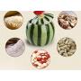 Creative Watermelon Shape Ceramic Food Storage Jar with Lid, Home Decoration