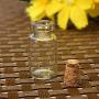 10Pcs Small Glass Jars Jar Message Vials Cheap Cork Stopper Bottle Diy Strap Small Glass Storage Bottle 2412Mm,Clear