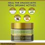 Life & Pursuits Organic Foot Cracks Healing Cream (1.76 oz / 50gm) for Rough, Dry and Cracked Heel | Organic Ayurvedic Foot Repair & Cracked Heels Cream