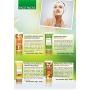 Lip Balm - Ultra Moisturizer - All Natural - Herbal Lip Therapy - Pack of 8 X 10 Gms - Vaadi Herbals (Assorted Pack)
