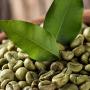Advanced Clinicals Green Coffee Bean Oil Thermo-firming Cream (16oz)