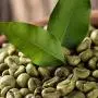 Advanced Clinicals Green Coffee Bean Oil Thermo-firming Cream (16oz)