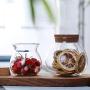 Sealed Glass Jars Borosilicate Heat Resistant Transparent Glass Storage Jars Flower Tea Dried Fruit Nuts Cans,240Ml 2Pcs