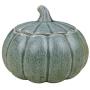 FUYU Pumpkin Ceramic Seal Cans Food Storage Jar Snack Cans with Lid