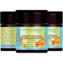 ORGANIC PUMPKIN SEED OIL BUTTER Australian. 100% Natural/VIRGIN/UNREFINED/RAW For Skin, Hair, Lip and Nail Care. 2 Fl.oz.- 60 ml