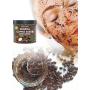 100% Natural Arabica Coffee Scrub with Organic Coffee, Coconut and Shea Butter - Best Acne, Anti Cellulite and Stretch Mark treatment, Spider Vein Therapy for Varicose Veins & Eczema 10 oz