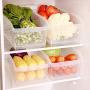FGDJEE Food Storage Containers Refrigerator Bin Plastic Food Containers Airtight Leak Proof Easy Snap Lock BPA Free Kitchen Use