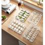 Loneflash Food Storage Container, Single Layer Refrigerator Food Dumplings Airtight Storage Container Plastic Box for Dumplings, Small Volume of Food