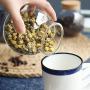 Yl Ly Glass Small Storage Jar Coffee Bean Sealed Cans Candy Nut Bottle Ball Belly Type Glass Bottle
