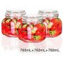 HIZLJJ 3 Pack Glass Storage Tank Spice Jars,Small Glass Jars with Leak Proof Rubber Gasket and Airtight Hinged Lid,Perfect for Spice Herb Seasoning Art Craft Storage Empty