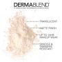 Dermablend Loose Setting Powder, Face Powder Makeup for Light, Medium and Tan Skin Tones, Mattifying Finish and Shine Control, 1oz