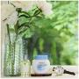 Ponds Dry Skin Cream, 6.5 oz