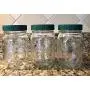 Jarming Collections Mason Jar Deckel-Kunststoff (BPA-frei) Set von 12 für Standard Öffnung Mason Jar, wiederverwendbar, dicht, hergestellt in den USA (grün)
