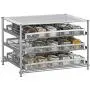 Schubladen-Organizer für Gewürzregale, Ausziehbare Gewürzschublade für Küche, Lagerregal, Make-up, Nagellack, Medikamente, Silber – Geeignet für 30-60 Glasflaschen