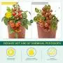 60 Pack Fruit Fly Traps Indoor Gnat Trap, Sticky Fly Traps Fungus Fly Trap and Yellow Sticky Traps, Fungus Gnat Killer for Indoor Plants,Mosquitos,Fungus Gnats,Fruit Flies