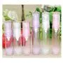 6er Pack 10ml/0.3oz Kunststoff Airless Pump Lotion Flasche Leere Nachfüllbare Vakuumflasche mit Pumpenkopf und Klare Deckel Kosmetik Probenbehälter Dosierflasche für Emulsion Gesichtscreme Lotion (Pink)