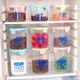 Hemoton Plastic Storage Jars with Lids,Clear Canister Food Storage containers canister set for dry flour Cereal Coffee Sugar Rice Snacks(3pcs 1500ml）