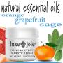 Sage and Citrus Moisturizer 2 oz Natural Face Cream Oil Free Skin Types Normal, Oily, Combination, Acne Prone Anti-Wrinkle Tighten Lift