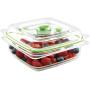 FoodSaver FAC3-000 B01AJJ1WPI Vacuum Sealed Fresh Container, 3 Cup, Clear