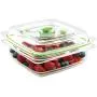 FoodSaver FAC3-000 B01AJJ1WPI Vacuum Sealed Fresh Container, 3 Cup, Clear FoodSaver FAC3-000 B01AJJ1WPI Vacuum Sealed Fresh Container, 3 Cup, Clear