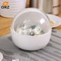 | Storage Bottles & Jars | Sugar Bowl Kitchen Spherical Spice Tank Cans Salt Seasoning Pot Spice Jar Cooking Herbs Snacks Candy Container Storage Box | by HUDITOOLS | 1 PCs